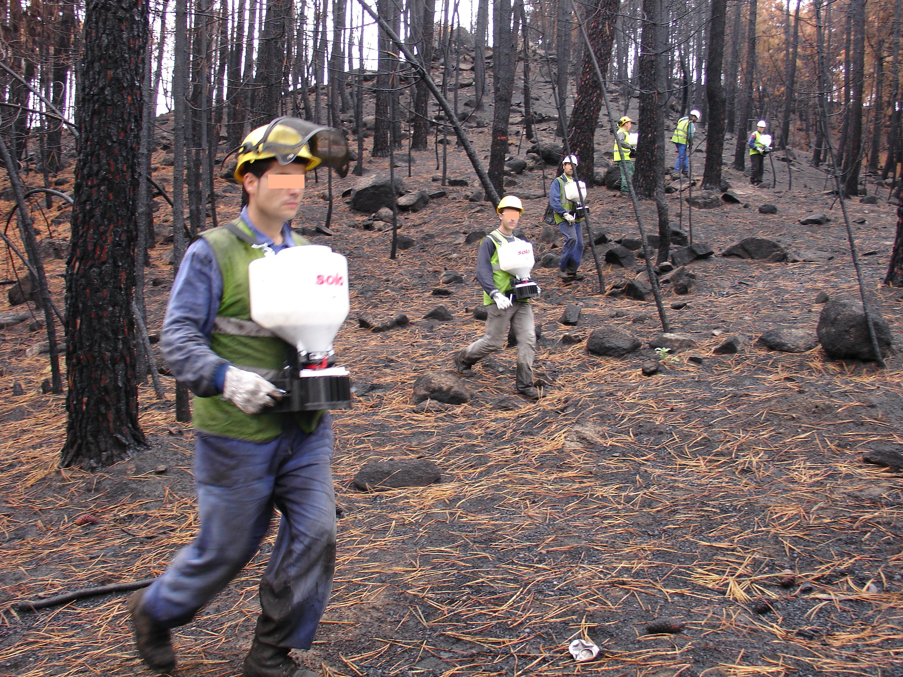 Figura 1. Operarios semillando con abonadora manual.