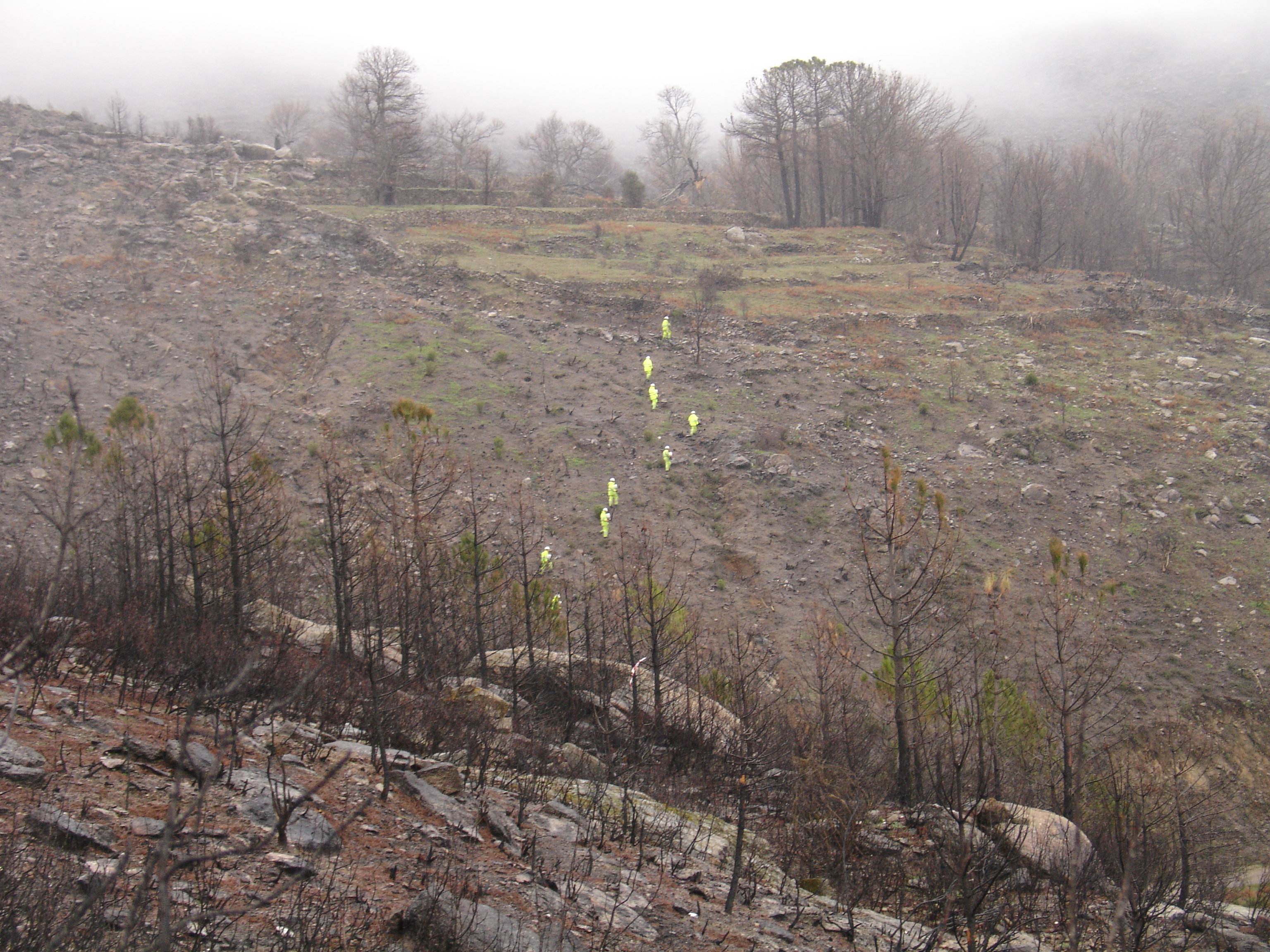 operarios en curva de nivel
