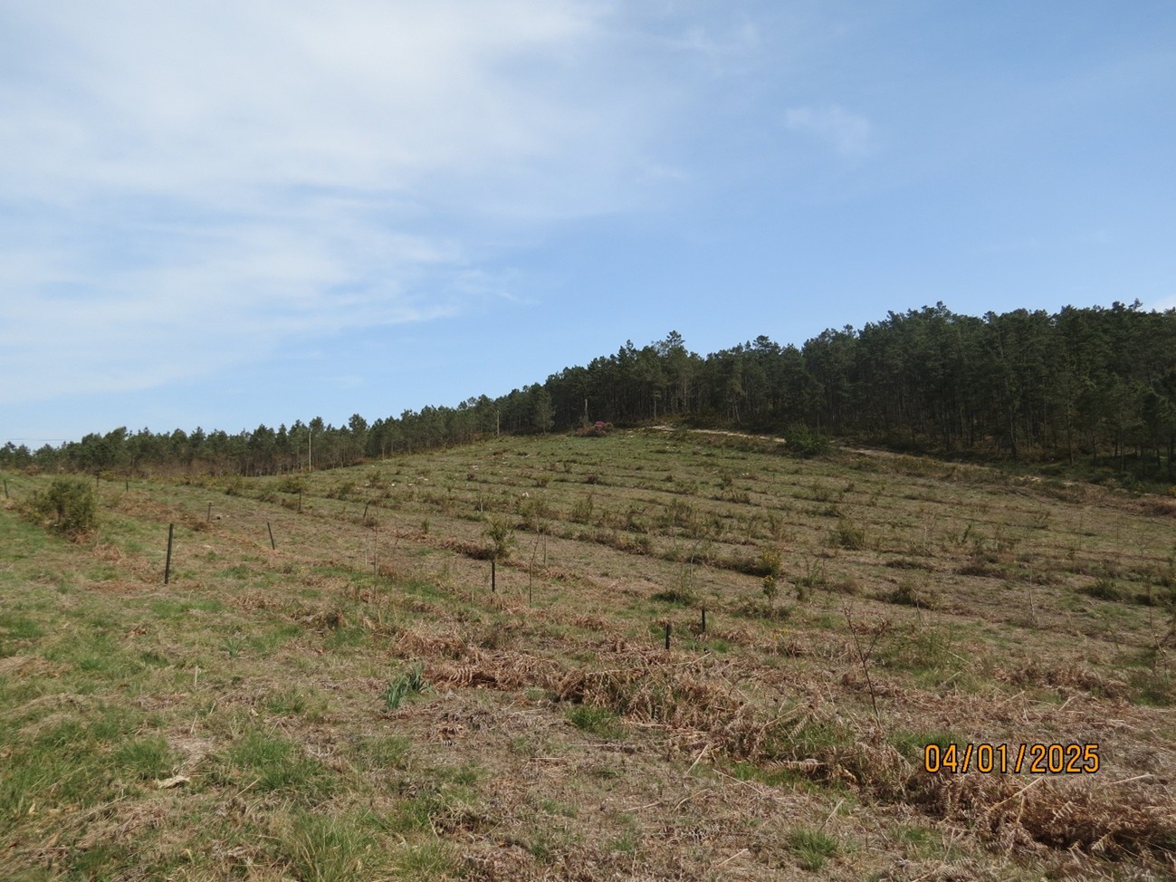 Figura 2. Monte Carboeiro. REMP