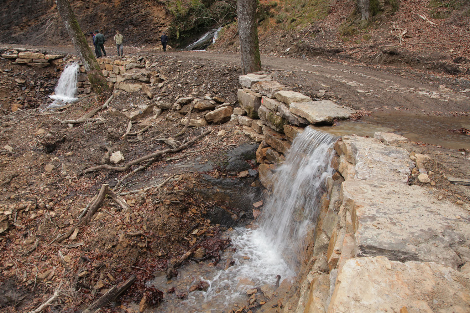 Una roca en el campo

El contenido generado por IA puede ser incorrecto.