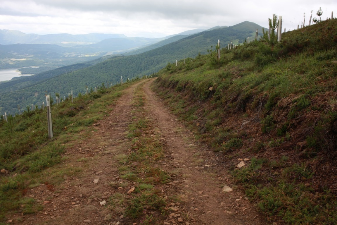 Sendero en una montaña

El contenido generado por IA puede ser incorrecto.