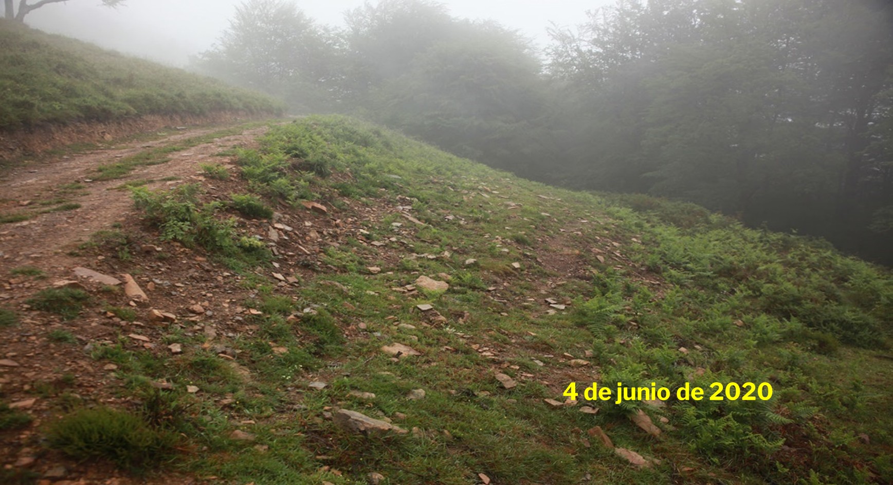 Una colina con pasto

Descripción generada automáticamente con confianza media