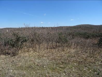 Replanteo parcelas grupo DV