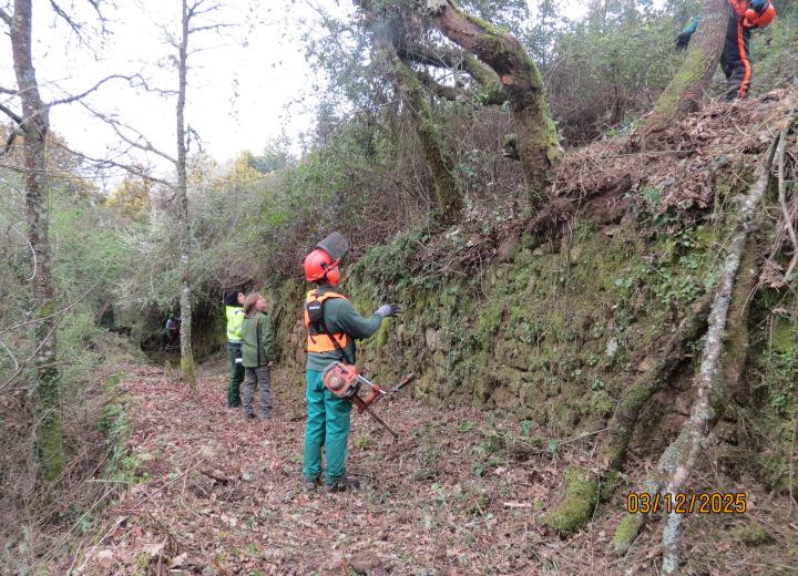 Formación del taller de empleo ARRIEIROS V. Concello de O Irixo (Ourense). Autor: REMP