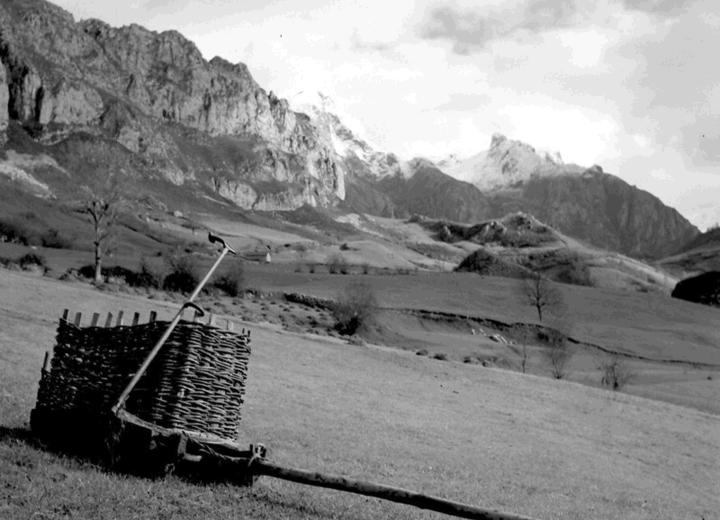 Proyecto RAÍCES. Fuente proyecto raíces