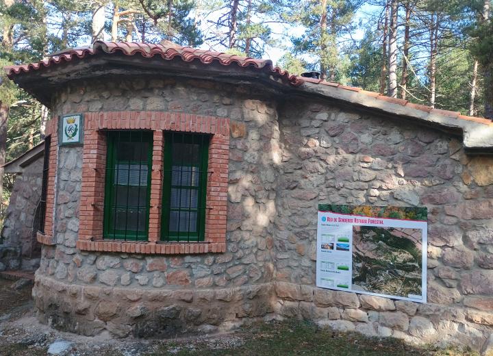 casa forestal cedrillas