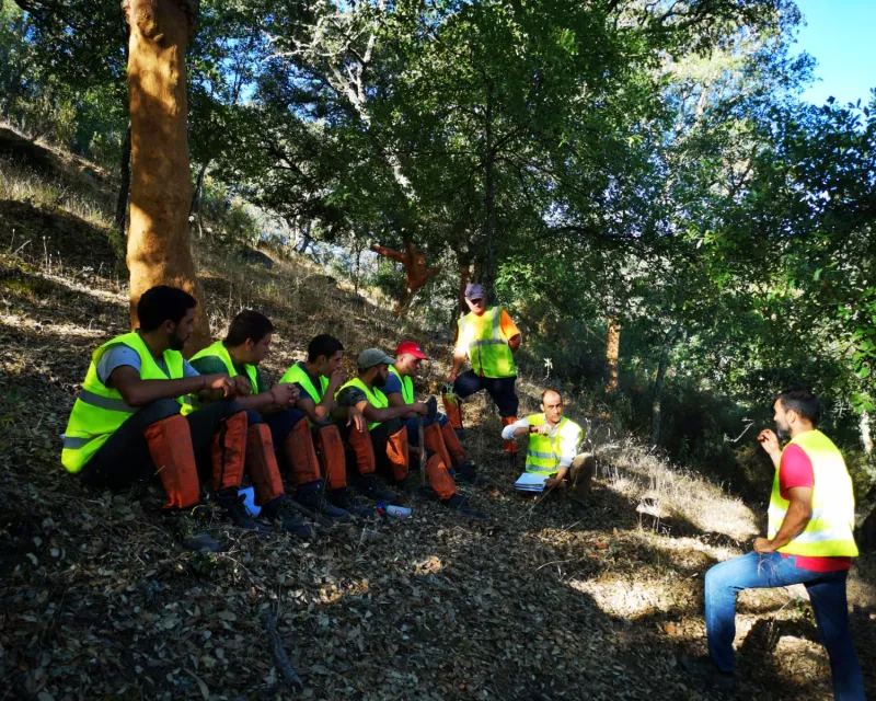 escuela de corcheros.