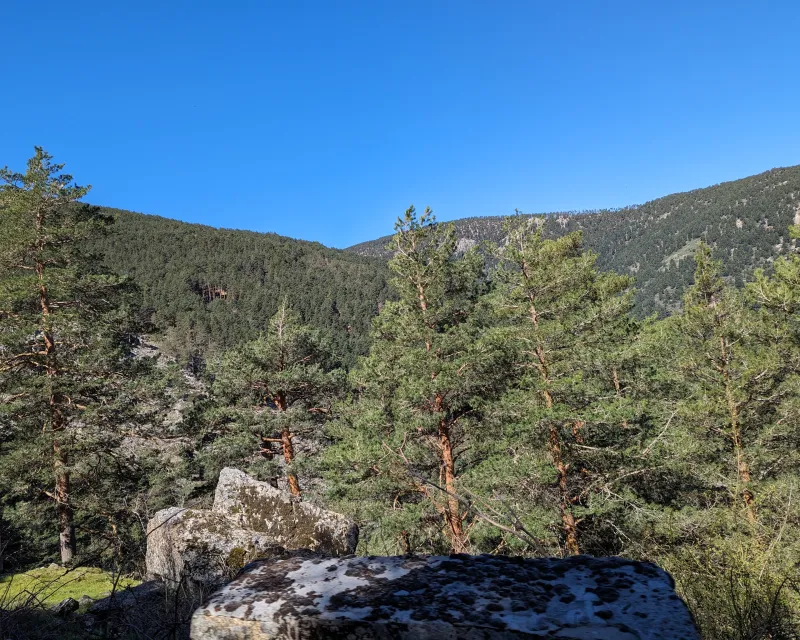 Vista general del monte