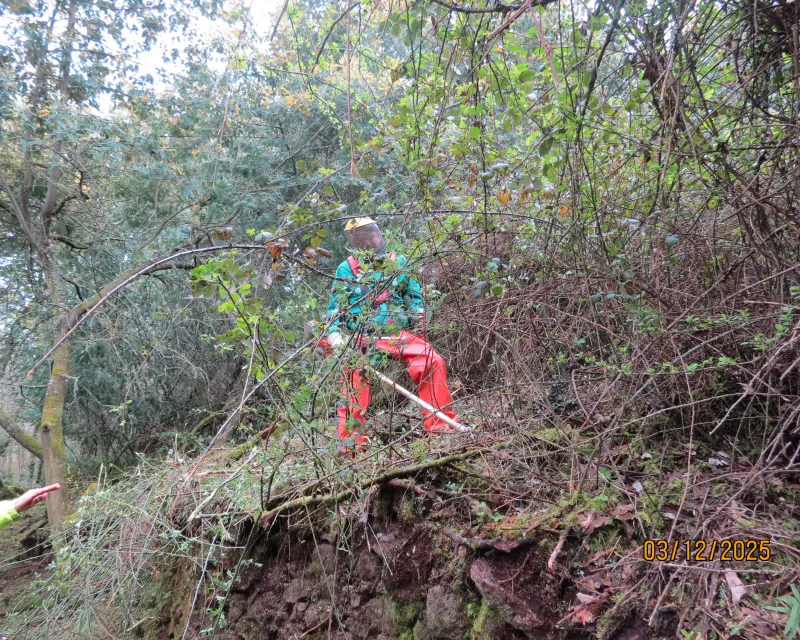 FOTOS_RECUPERACION_CAMINOS