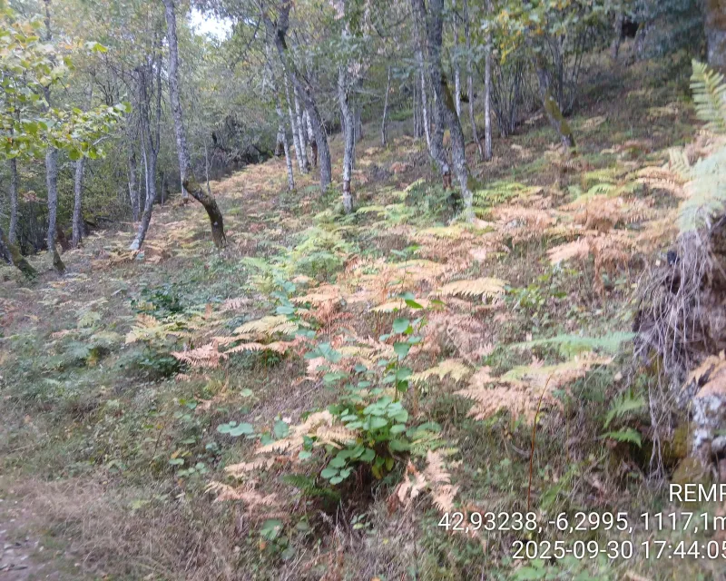 Bosques_demostrativo2