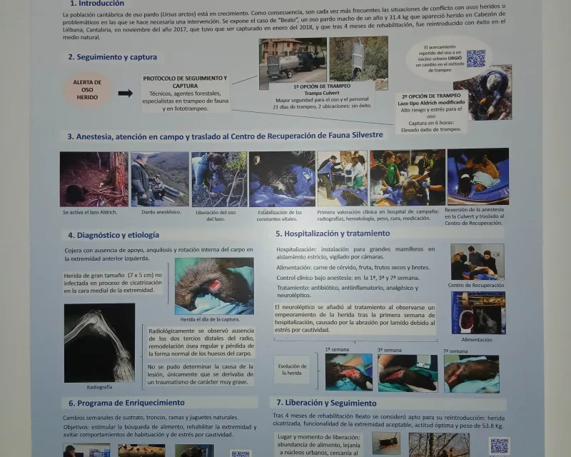 CENTRO RECUPERACIÓN FAUNA CANTABRIA 1