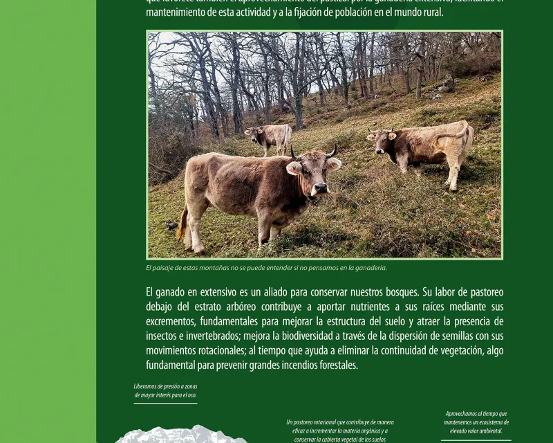 Bosques_demostrativo8