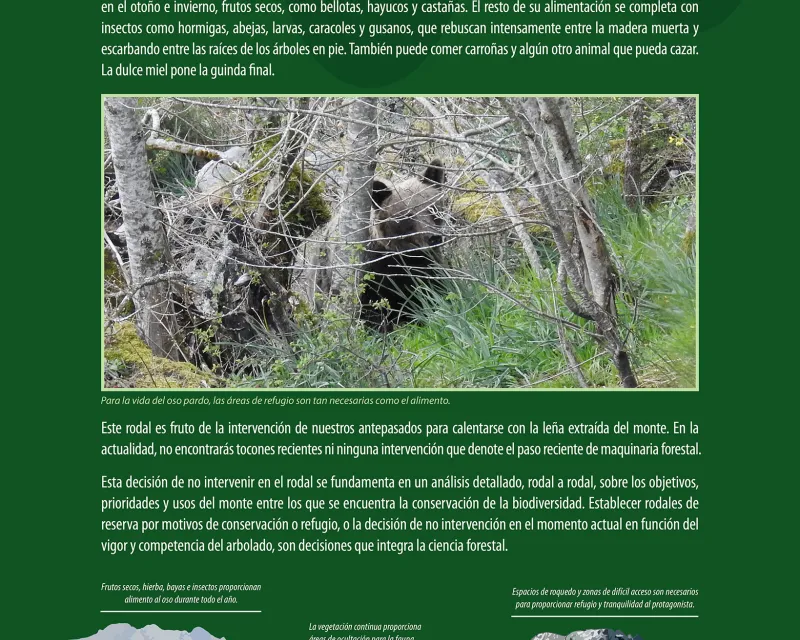Bosques_demostrativo11