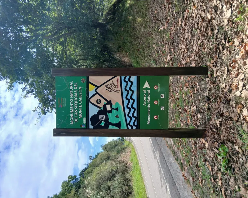 Sequoias_Monte_Cabezon_Cantabria