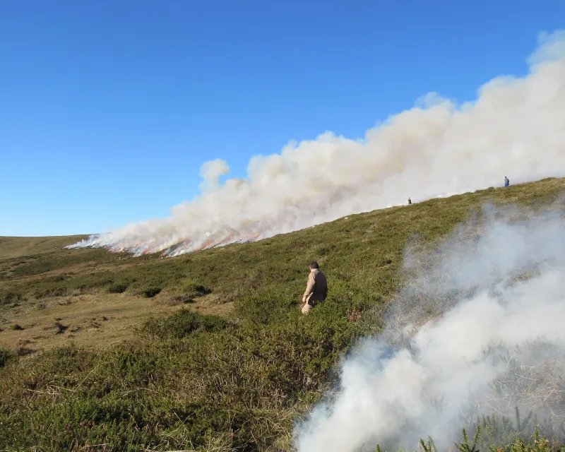 quemas controladas Cantabria (1)10