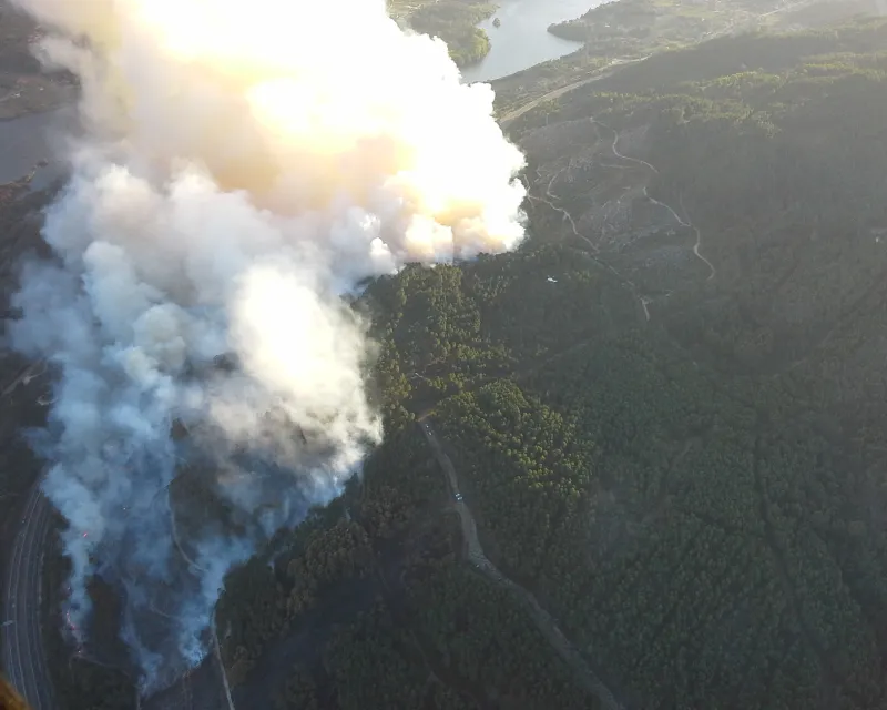 recuperacion superficies quemadas (1)