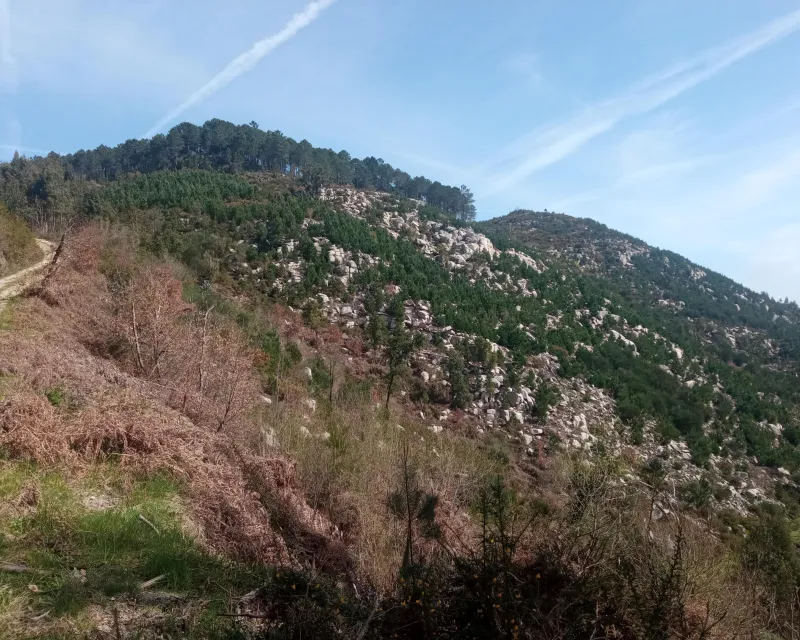 recuperacion superficies quemadas (1)