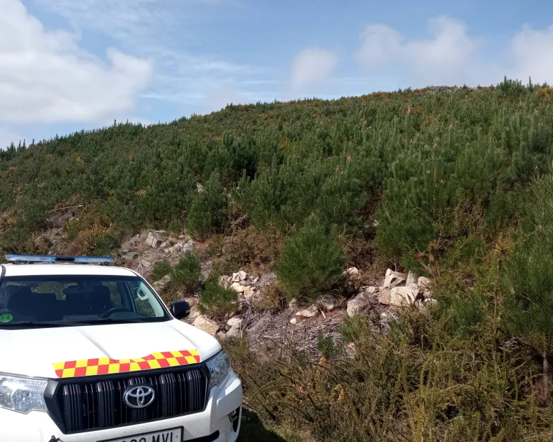 recuperacion superficies quemadas (1)