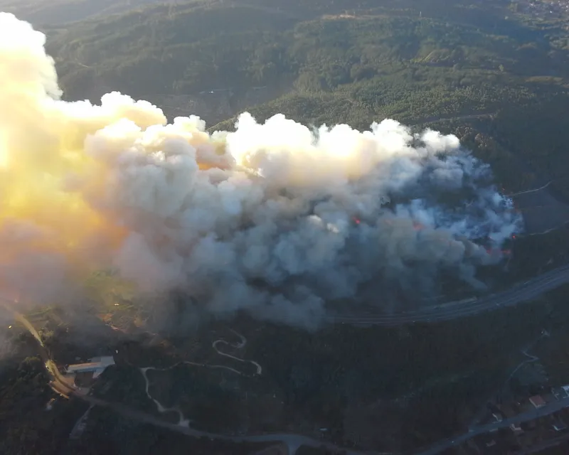 recuperacion superficies quemadas (1)