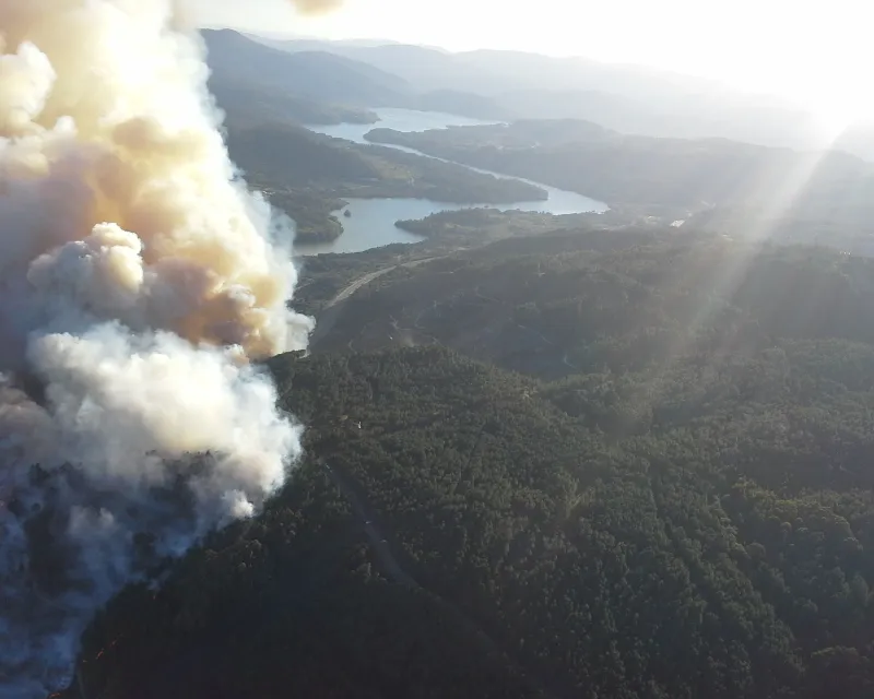 recuperacion superficies quemadas (1)