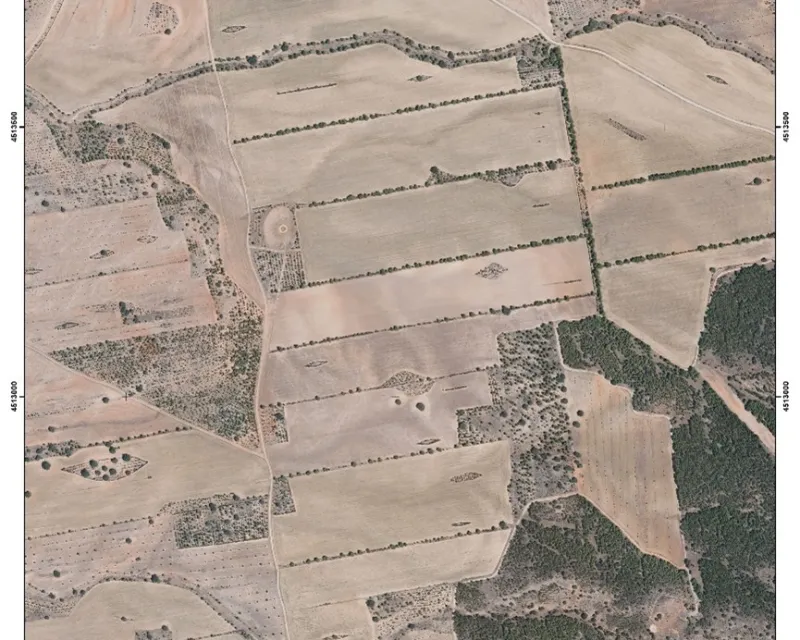 La misma zona en 2024 (PNOA) donde se pueden ver los linderos de separación entre los lotes, islotes forestales y parcelas agroganaderas