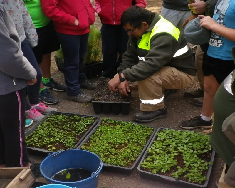 Sesión de trabajo en vivero con alumnado de 5.º de Primaria. Programa BROTES, Tenerife