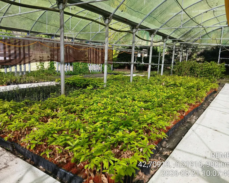 CIUDEN vivero3