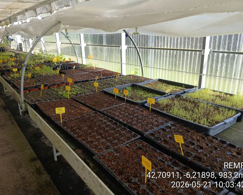 CIUDEN vivero1