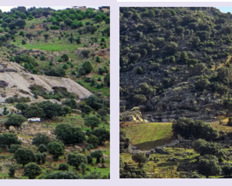 Cantera 3 Antes y después.
