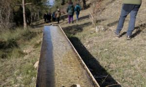 II Congreso Estatal sobre Montes Públicos