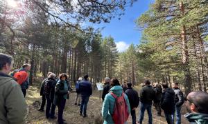 II Congreso Estatal sobre Montes Públicos