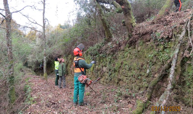 Formación del taller de empleo ARRIEIROS V. Concello de O Irixo (Ourense). Autor: REMP