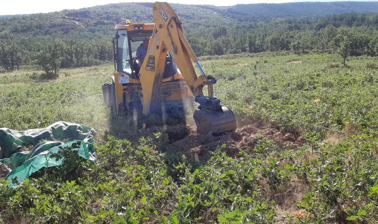 Apertura para extraer biomasa subterranea