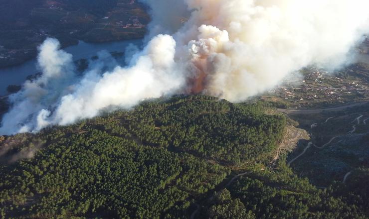 Figura 1. Incendio forestal afectando al Monte San Torcuato. Fuente. Técnico distrito XI