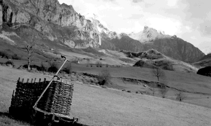 Proyecto RAÍCES. Fuente proyecto raíces