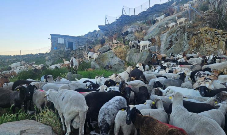 Figura 1. Curro de A Mosenda, Manzaneda. Fuente ayuntamiento Manzaneda (Ourense)