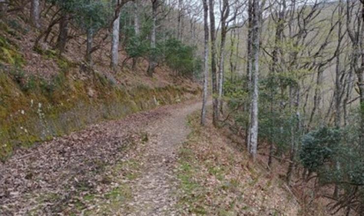 Pista montana Gijano Mena